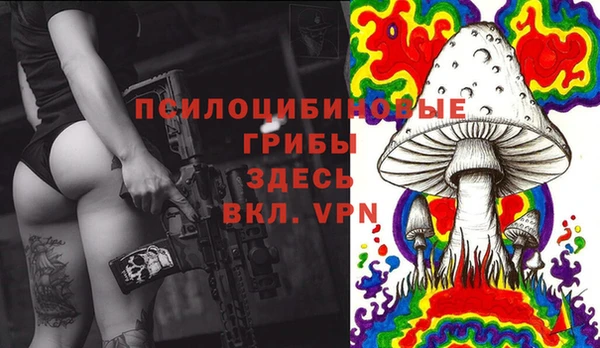 амф Абаза